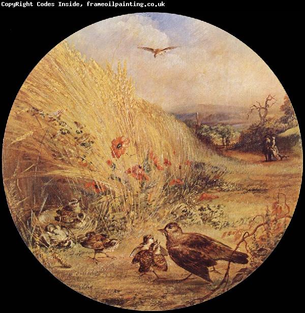William Dexter Wheatfield with bird-s nest